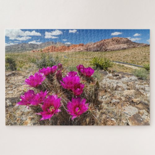Bright pink cactus flowers in Red Rock Canyon Nv Jigsaw Puzzle