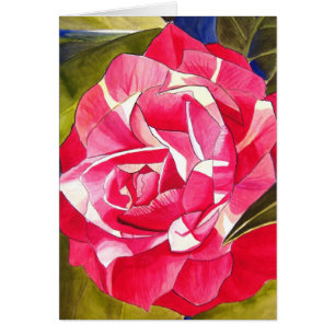 Bright pink Camellia flower Cards