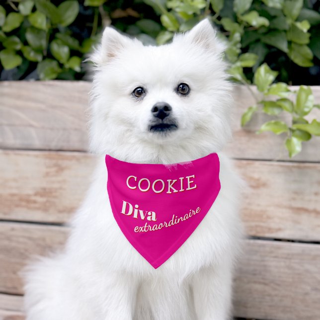Bright Pink Diva Extraordinaire Funny Dog Pet Bandana Collar (Dog)
