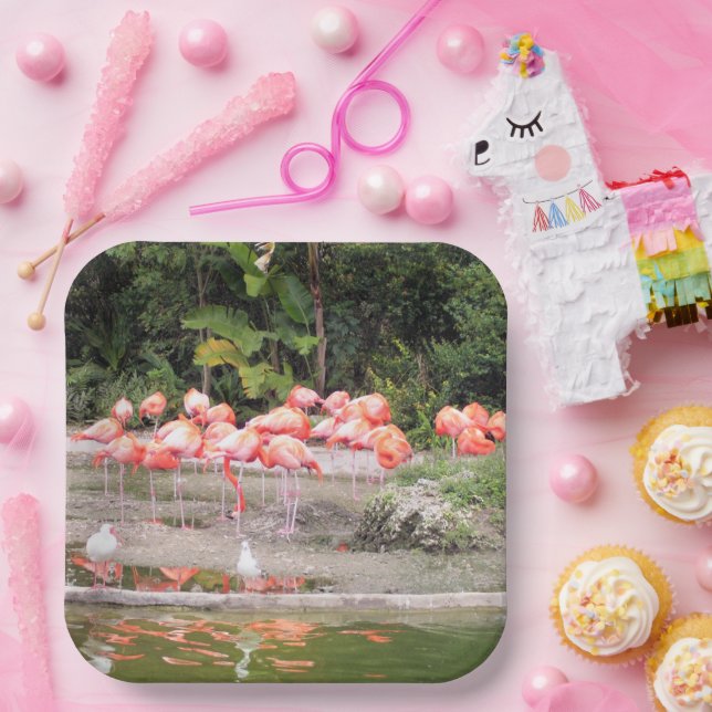 Bright Pink Flamingo Flock Tropical Illustration Paper Plates (Party)
