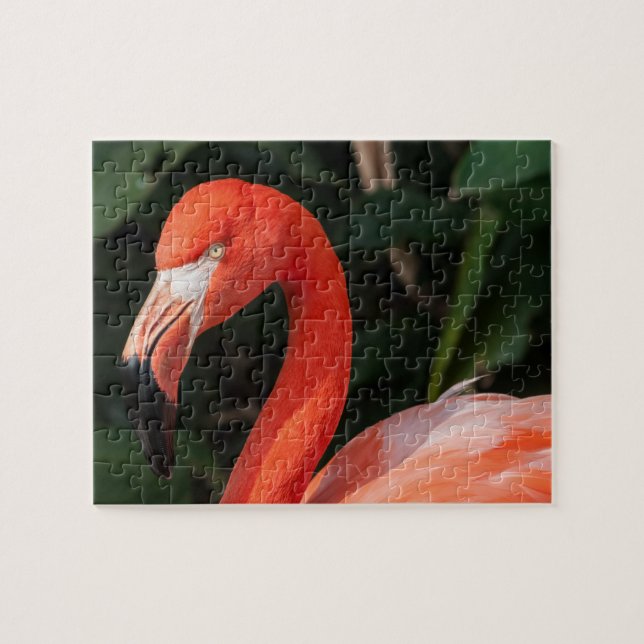 Bright Pink Flamingo Jigsaw Puzzle (Horizontal)