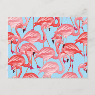 Bright Pink Flamingos On Blue 2 Postcard