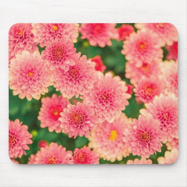 Bright Pink Flowers Photo Mouse Pad (Front)