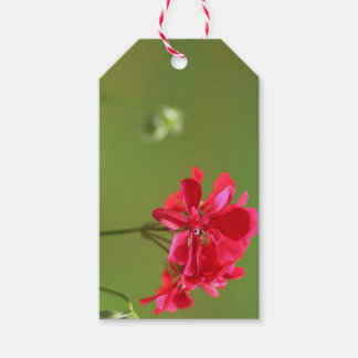 Bright Pink Geranium Floral Editable Gift Tag