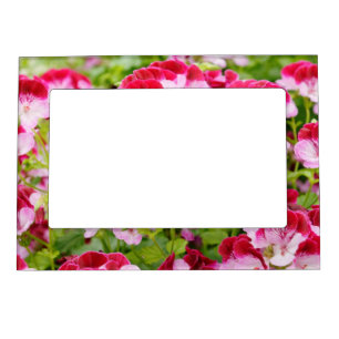 Bright pink geranium flowers magnetic photo frame