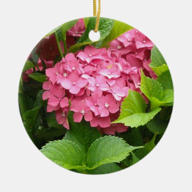 Bright Pink Hydrangea Ceramic Ornament (Front)