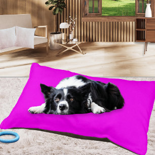 Bright Pink Neon Modern Custom Name Dog Pet Bed