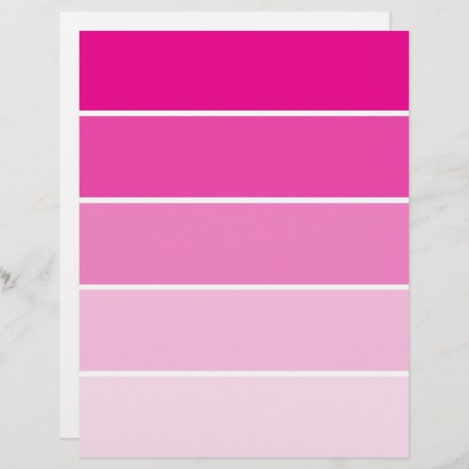 Bright Pink Paint Samples (Front/Back)
