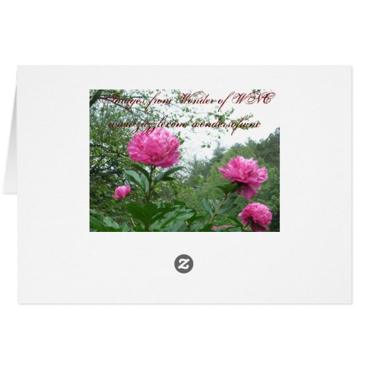 Bright Pink Peony Card (Back Horizontal)
