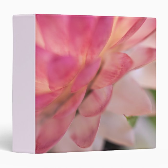 Bright Pink Strawflower 3 Ring Binder (Front/Spine)