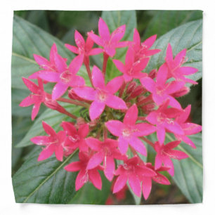 Bright Pink Tropical Flowers Bandana