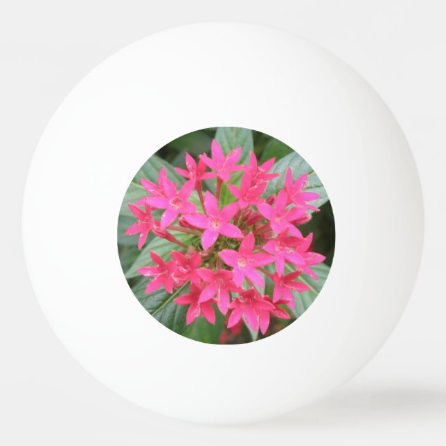 Bright Pink Tropical Flowers Ping Pong Ball (Front)