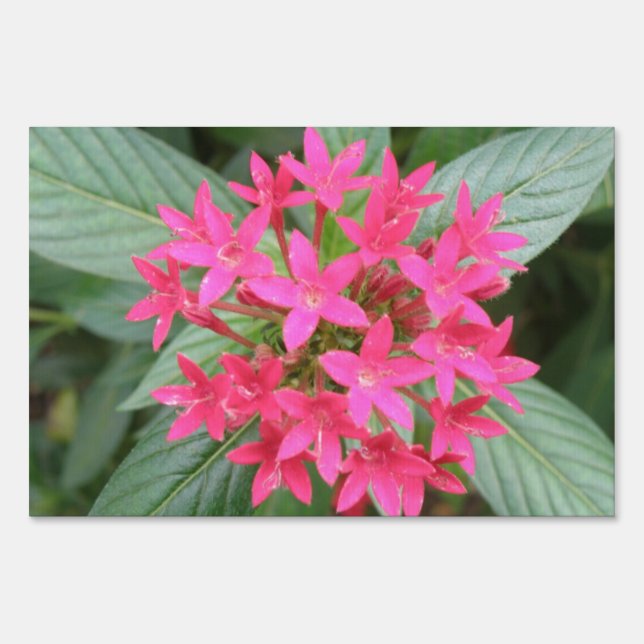 Bright Pink Tropical Flowers Yard Sign (Front)