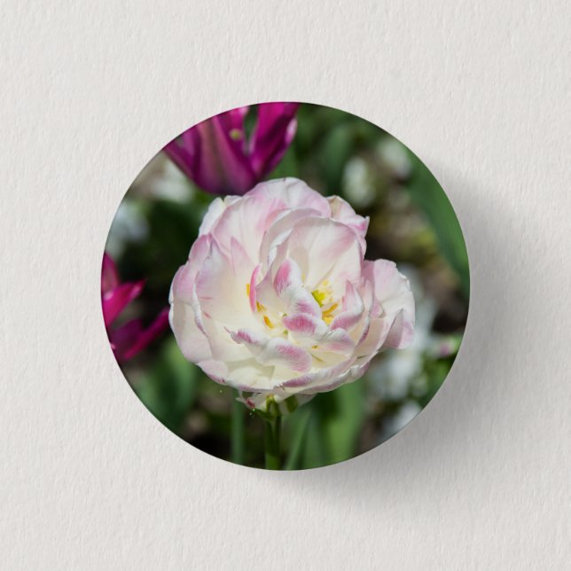 Bright pink tulips on a sunny day  button (Front)