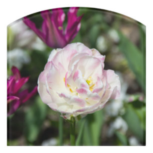 Bright pink tulips on a sunny day door sign