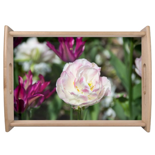 Bright pink tulips on a sunny day    serving tray (Front)