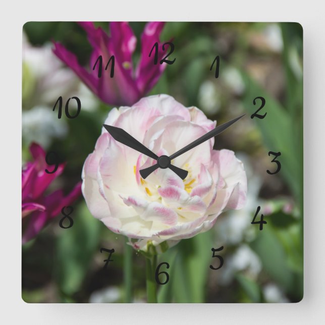 Bright pink tulips on a sunny day  square wall clock (Front)