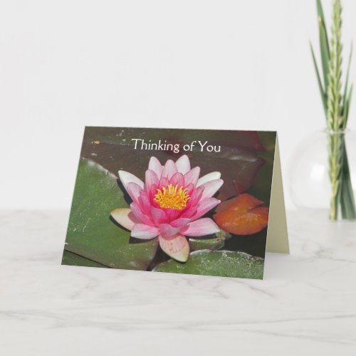 Bright Pink Water Lily Flower Thinking of You Card