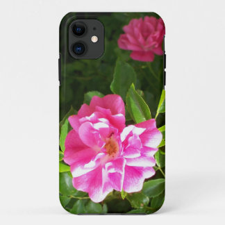 Bright Pink Wild Rose Photograph Rosa Rugosa iPhone 11 Case