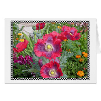 Bright Poppies Cards