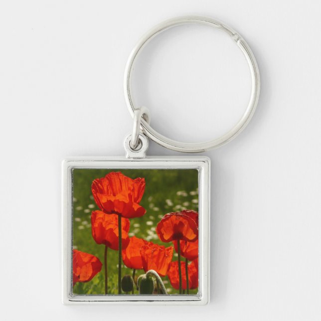 Bright Poppies Close Up Photo Keychain (Front)