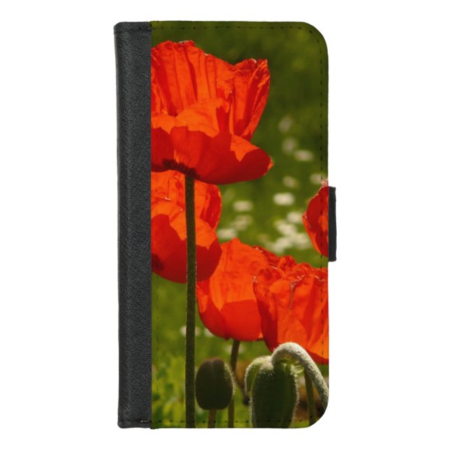 Bright Poppies iPhone Wallet Case (Front)