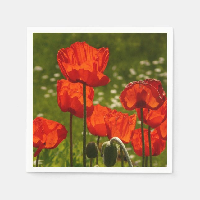 Bright Poppies Napkins (Front)