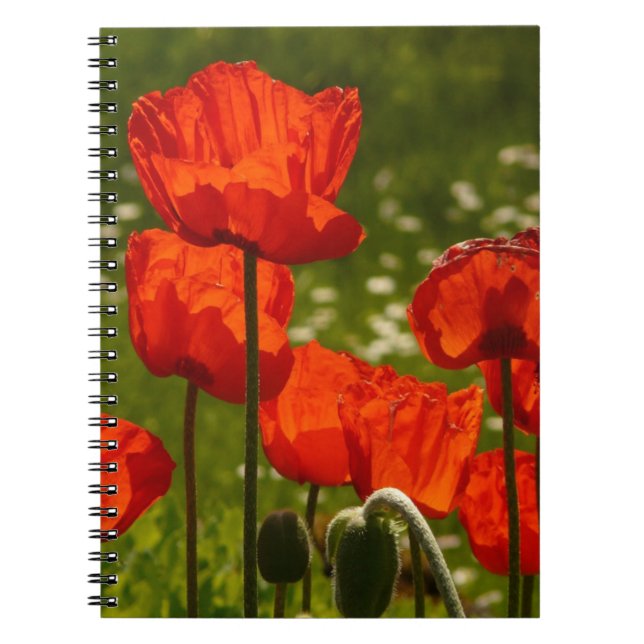 Bright Poppies Notebook (Front)