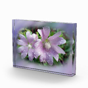 Bright purple acrylic award