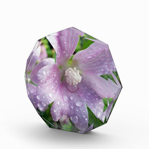 Bright purple acrylic award