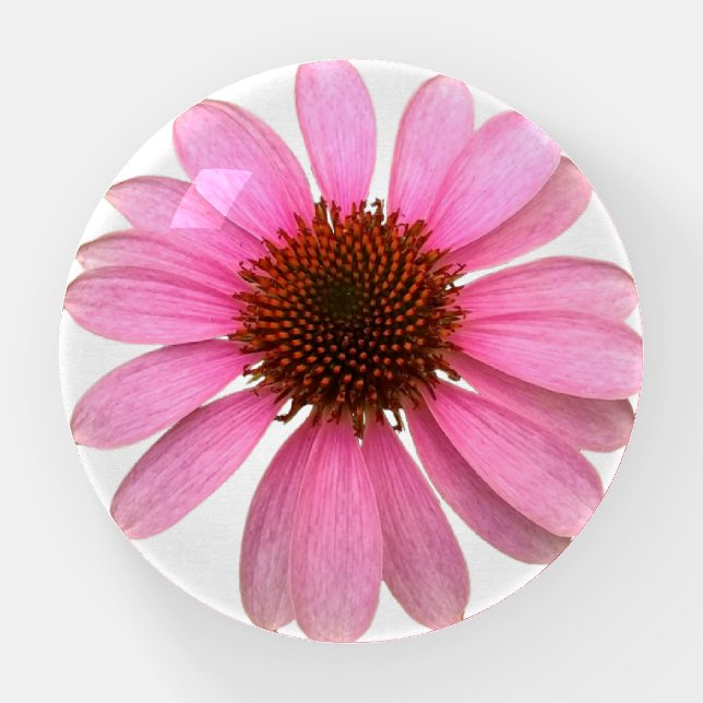 Bright Purple Coneflower Paperweight (Front)