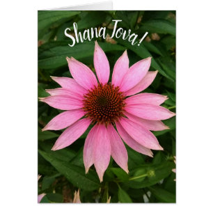 Bright Purple Coneflower Rosh Hashanah Card
