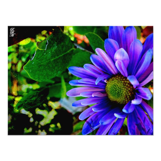 Bright Purple Flower Photo Print (Front)