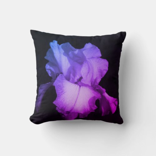 Bright Purple Iris on Dark Background Throw Pillow