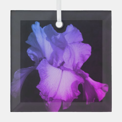 Bright Purple Iris Photo Ceramic Ornament