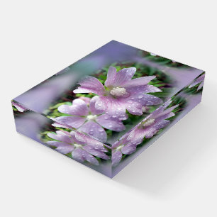 Bright purple paperweight