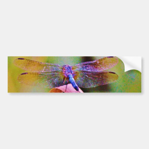Bright Rainbow Pink Dragonfly Bumper Sticker