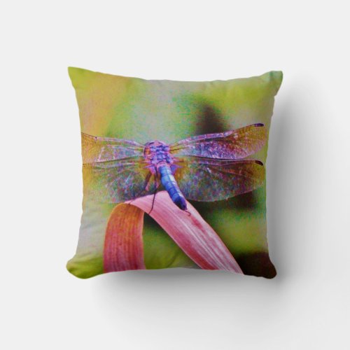 Bright Rainbow Pink Dragonfly Throw Pillow