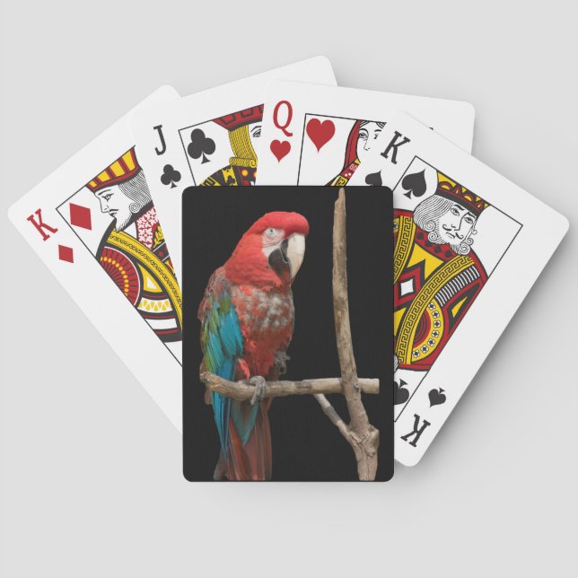 Bright Red and Blue Macaw Bird on Branch Poker Cards (Back)