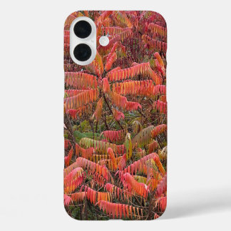 Bright red autumn foliage iPhone 16 plus case