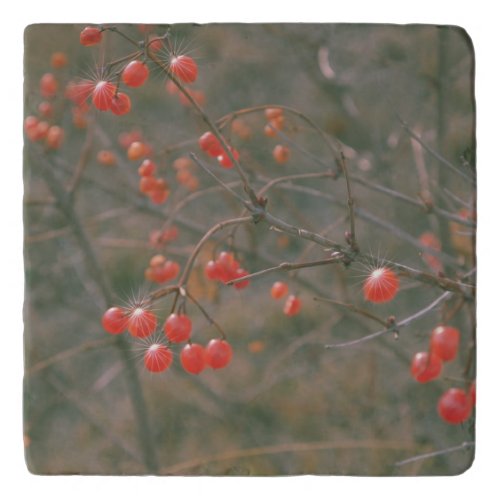 Bright Red Berries Holiday Sparkle Effect Photo Trivet