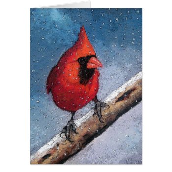 Bright Red Cardinal In Snow: Pastel Art by joyart at Zazzle