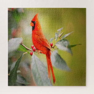 Bright Red Cardinal Jigsaw Puzzle