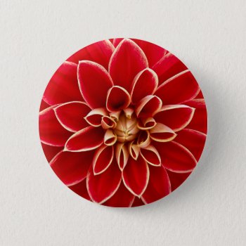 Bright Red Dahlia Button by MissMatching at Zazzle