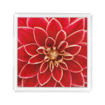 Bright Red Dahlia Close Up Photo Acrylic Tray
