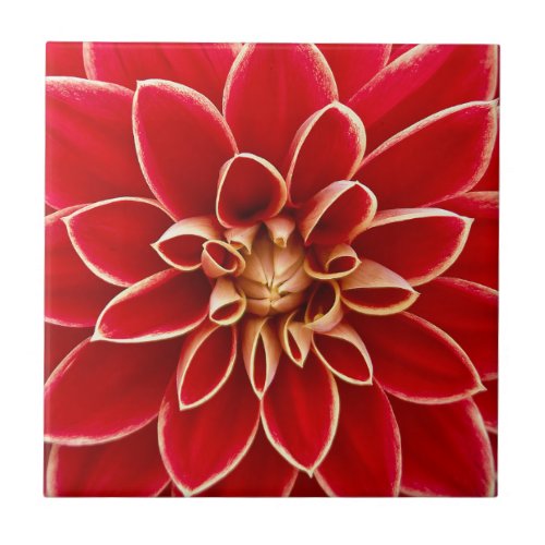 Bright Red Dahlia Flower Ceramic Tile