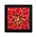 Bright Red Dahlia Flower Close Up Gift Box
