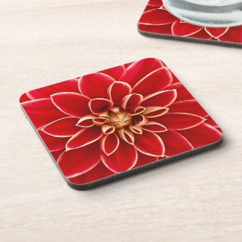 Bright Red Dahlia Flower Close Up Photo Beverage Coaster by MissMatching at Zazzle