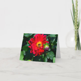 Bright Red Dahlia Wine Colored Bud Greeting Card