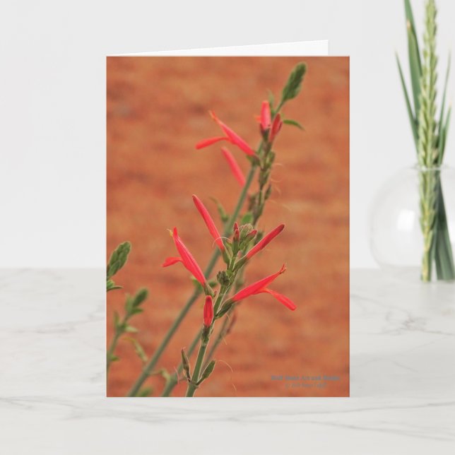 Bright Red Desert Wildflowers Hummingbird Bush Card (Front)